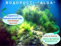 В О Д О Р О С Т І – “ А L G A “ ВОДОРОСТІ – підводні висячі сади – ЖИТНИЦЯ ОК...