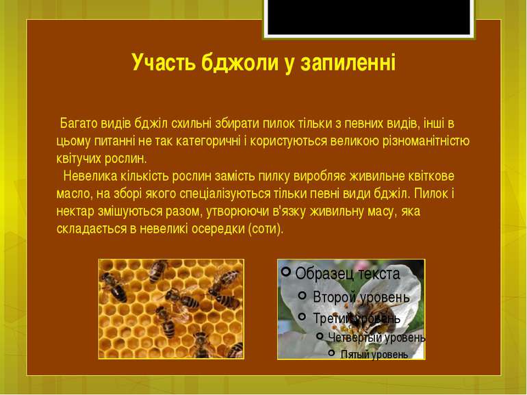 Багато видів бджіл схильні збирати пилок тільки з певних видів, інші в цьому ...