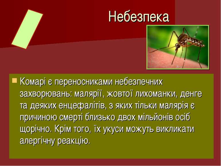 Комарі є переносниками небезпечних захворювань: малярії, жовтої лихоманки, де...