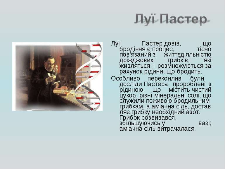 Луї Пастер довів, що бродіння є процес, тісно пов'язаний з життєдіяльністю др...