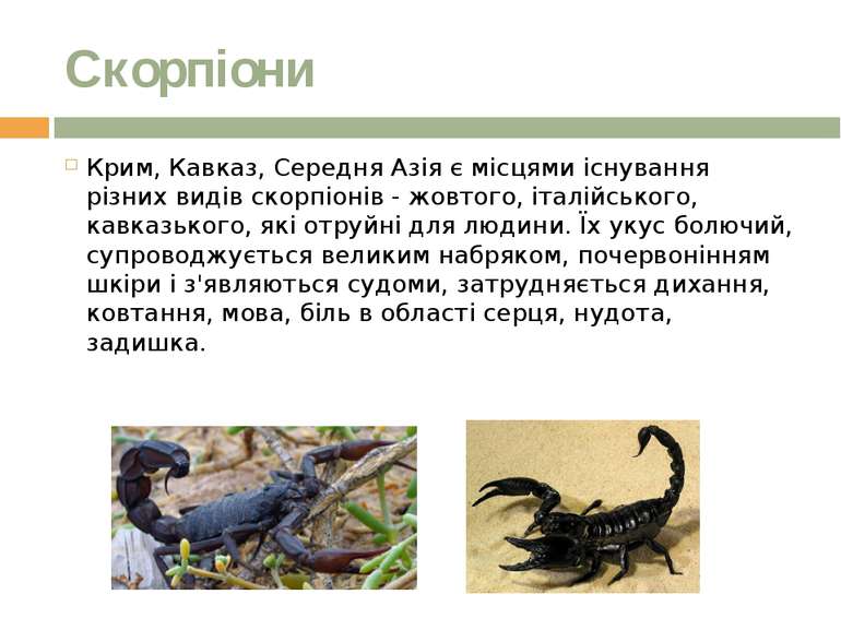 Скорпіони Крим, Кавказ, Середня Азія є місцями існування різних видів скорпіо...