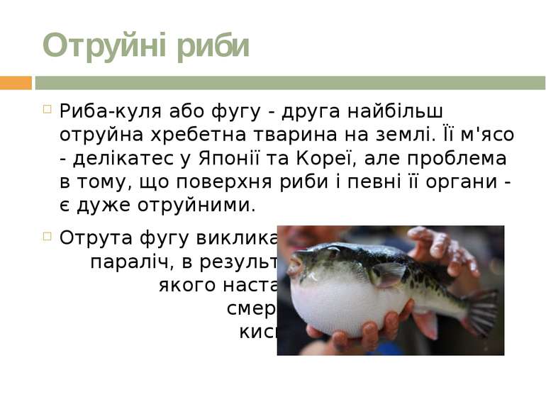 Отруйні риби Риба-куля або фугу - друга найбільш отруйна хребетна тварина на ...