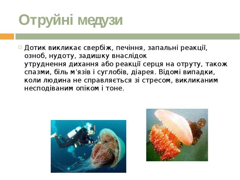Отруйні медузи Дотик викликає свербіж, печіння, запальні реакції, озноб, нудо...