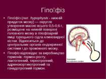 Гіпо фіз Гіпо фіз (лат. hypophysis - нижній придаток мозку) — округле утворен...