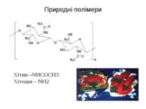 Природні полімери Хітин –NHCOCH3 Хітозан – NH2