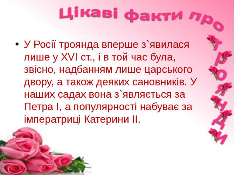 У Росії троянда вперше з`явилася лише у ХVI ст., і в той час була, звісно, на...