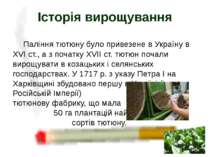 Паління тютюну було привезене в Україну в ХVІ ст., а з початку ХVІІ ст. тютюн...