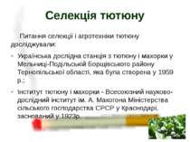 Питання селекції і агротехніки тютюну досліджували: Українська дослідна станц...