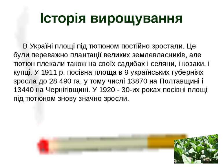 В Україні площі під тютюном постійно зростали. Це були переважно плантації ве...