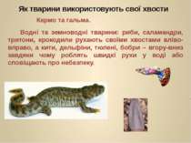 Водні та земноводні тварини: риби, саламандри, тритони, крокодили рухають сво...
