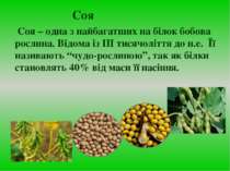 Соя Cоя – одна з найбагатших на білок бобова рослина. Відома із ІІІ тисячоліт...