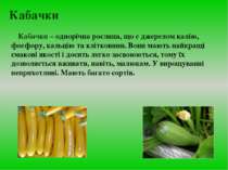 Кабачки Кабачки – однорічна рослина, що є джерелом калію, фосфору, кальцію та...