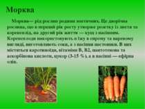 Морква Морква— рід рослин родини зонтичних. Це дворічна рослина, що в перший ...