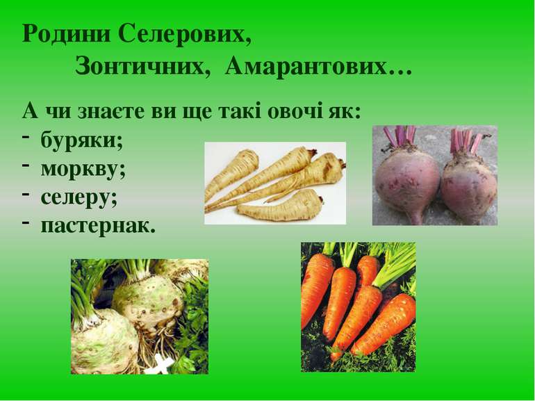 А чи знаєте ви ще такі овочі як: буряки; моркву; селеру; пастернак. Родини Се...