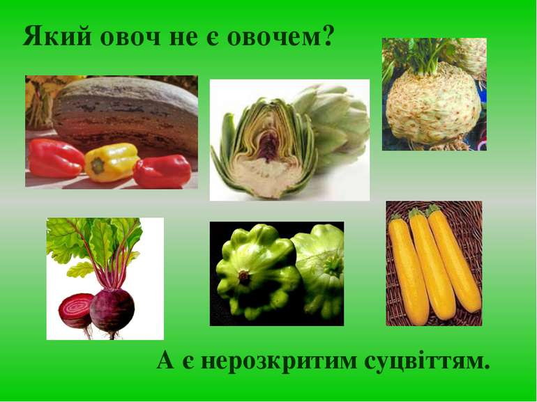 Який овоч не є овочем? А є нерозкритим суцвіттям.