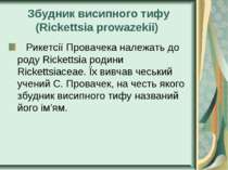 Збудник висипного тифу (Rickettsia prowazekii)    Рикетсії Провачека належать...