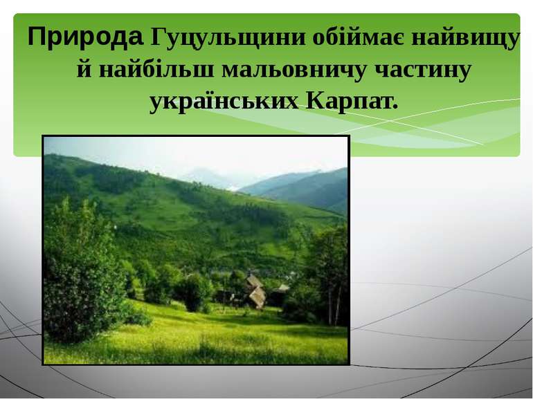 Природа Гуцульщини обіймає найвищу й найбільш мальовничу частину українських ...