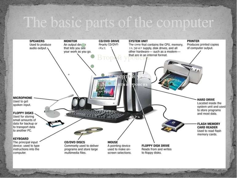 The basic parts of the computer