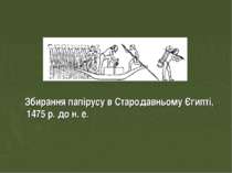 Збирання папірусу в Стародавньому Єгипті, 1475 р. до н. е.