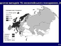 Відсоток випадків ТБ неєвопейського походження, 2004 EuroTB
