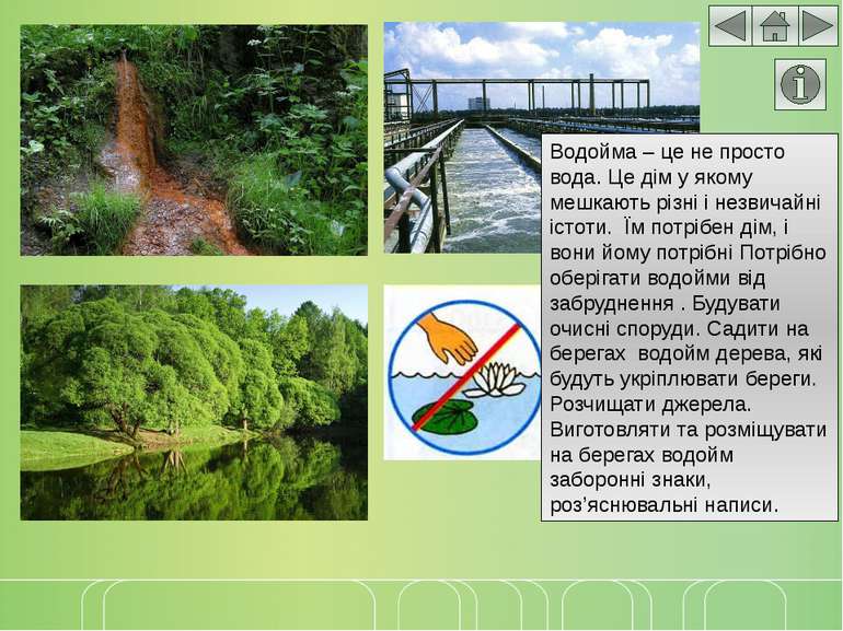 Водойми рідного краю - презентація з природознавства