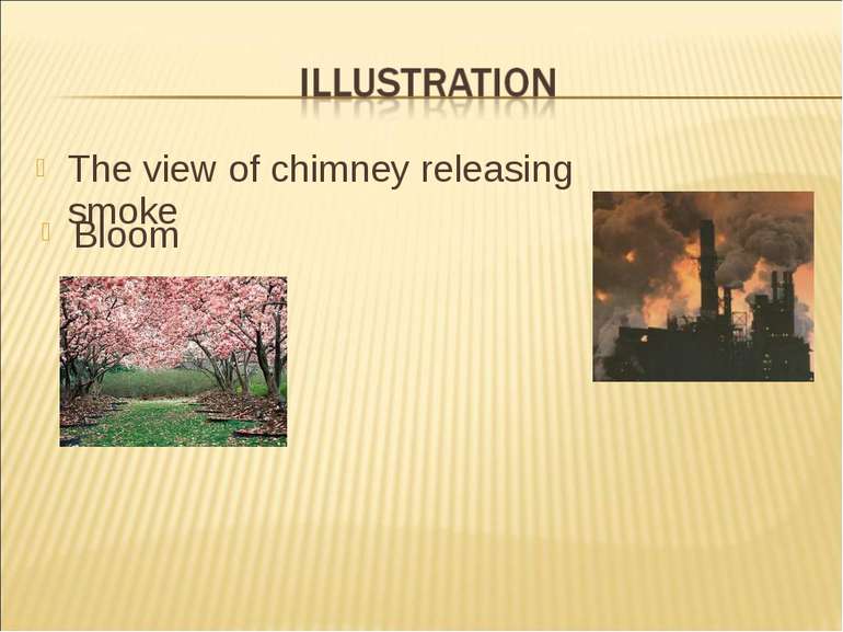 The view of chimney releasing smoke Bloom