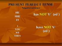 PRESENT PERFECT TENSE Negative sentence