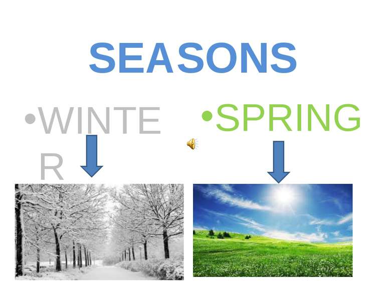 SEASONS WINTER SPRING