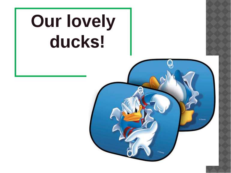 Our lovely ducks!