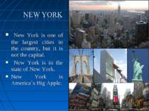 New York is one of the largest cities in the country, but it is not the capit...