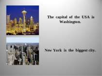 The capital of the USA is Washington. New York is the biggest city.