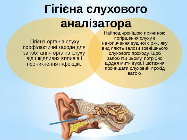 Гігієна слухового аналізатора