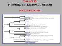 Tree of Life P. Keeling, B.S. Leander, A. Simpson WWW.TOLWEB.ORG