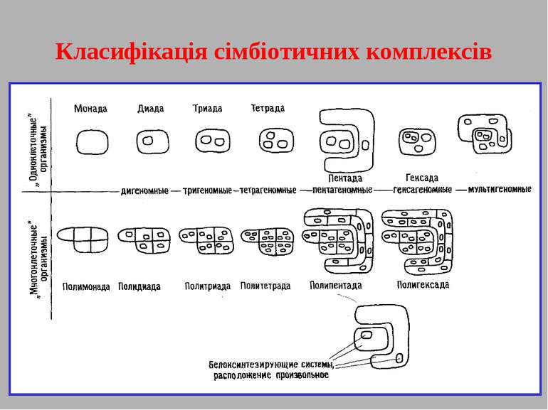 Класифікація сімбіотичних комплексів