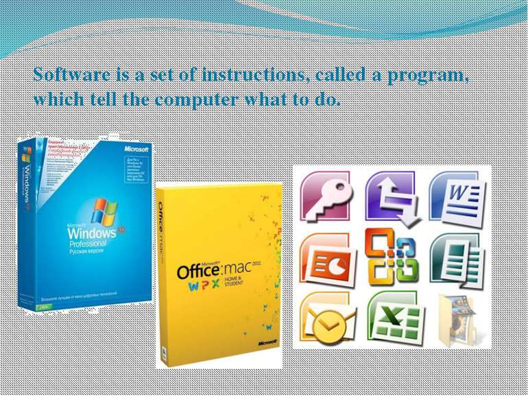 Software is a set of instructions, called a program, which tell the computer ...