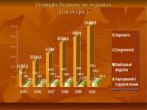 Розподіл бюджету по видатках (тисяч грн.)