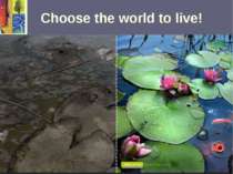 Choose the world to live!