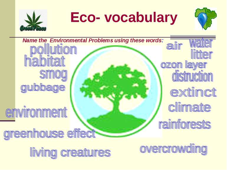 Eco- vocabulary Name the Environmental Problems using these words: