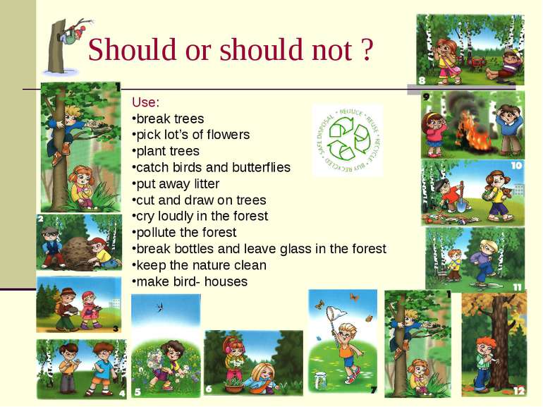 Should or should not ? Use: break trees pick lot’s of flowers plant trees cat...