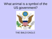 What animal is a symbol of the US government? THE BALD EAGLE