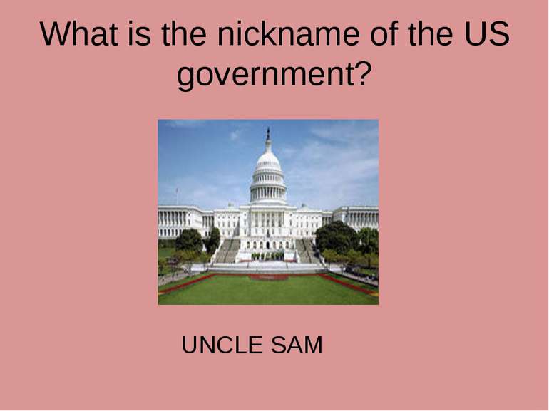 What is the nickname of the US government? UNCLE SAM