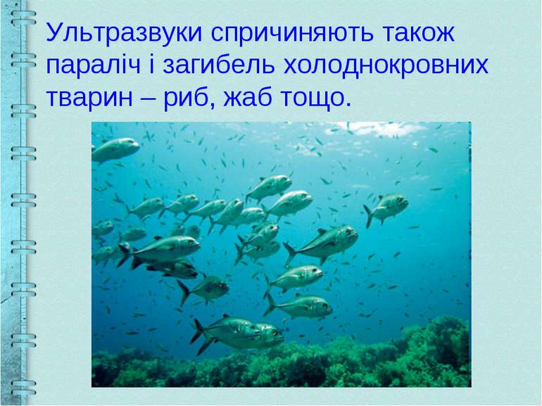 Ультразвуки спричиняють також параліч і загибель холоднокровних тварин – риб,...