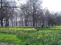 Green Park (officially The Green Park) is one of the Royal Parks of London. B...
