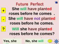 She will have planted roses before he comes . + - ? She will have not planted...