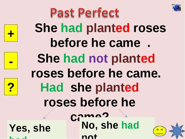 She had planted roses before he came . + - ? She had not planted roses before...