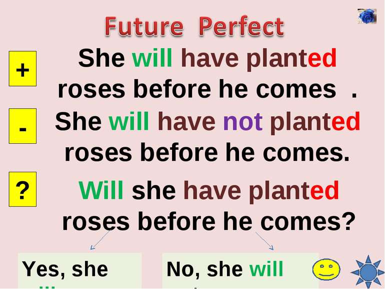 She will have planted roses before he comes . + - ? She will have not planted...