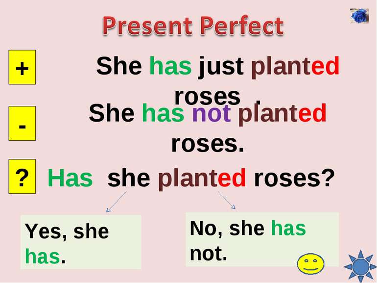 She has just planted roses . + - ? She has not planted roses. Has she planted...