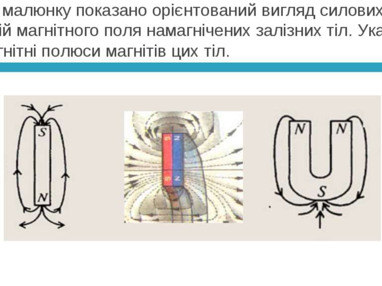 На малюнку показано орієнтований вигляд силових ліній магнітного поля намагні...