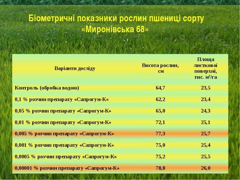 Біометричні показники рослин пшениці сорту «Миронівська 68» Варіанти досліду ...