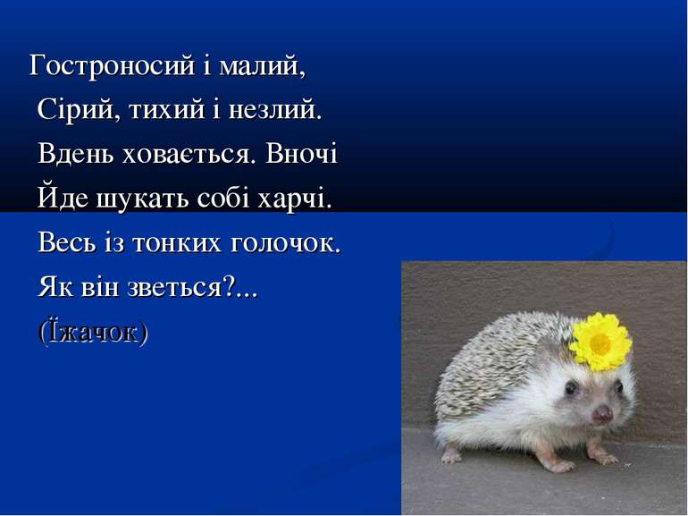 Гостроносий і малий, Сірий, тихий і незлий. Вдень ховається. Вночі Йде шукать...